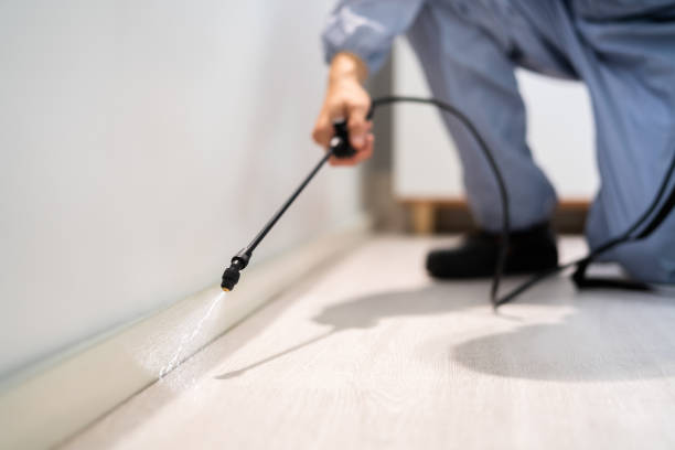 Licensed Termite Control service in Vassar, MI - Nex Pest Control