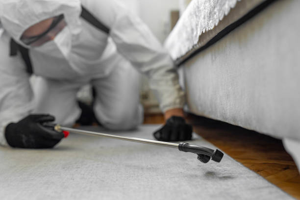 Professional Termite Control technician working in Vassar, MI