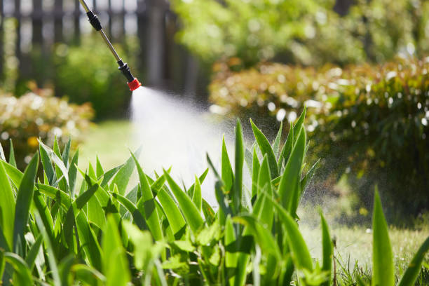 24/7 Emergency Termite Control experts in Vassar, MI