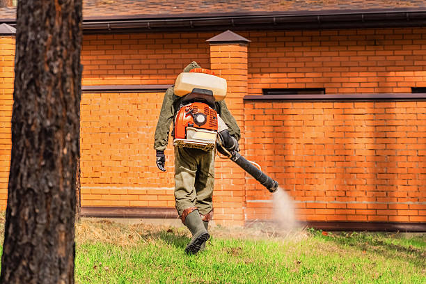 Top rated local Termite Control specialists in Vassar, MI